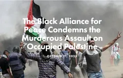 Screenshot 2025-06-03 at 3.13.31 PM.png